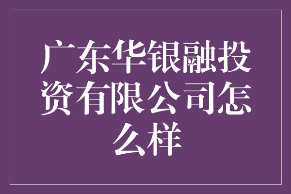 广东华银融投资有限公司怎么样