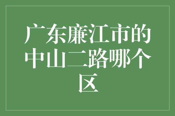 广东廉江市的中山二路哪个区