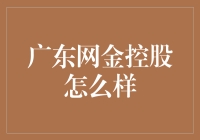 广东网金控股：金融科技领域的新兴力量