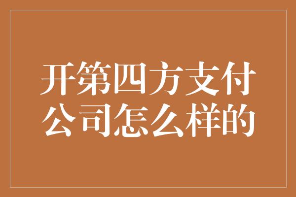 开第四方支付公司怎么样的