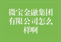 微宝金融集团有限公司分析报告