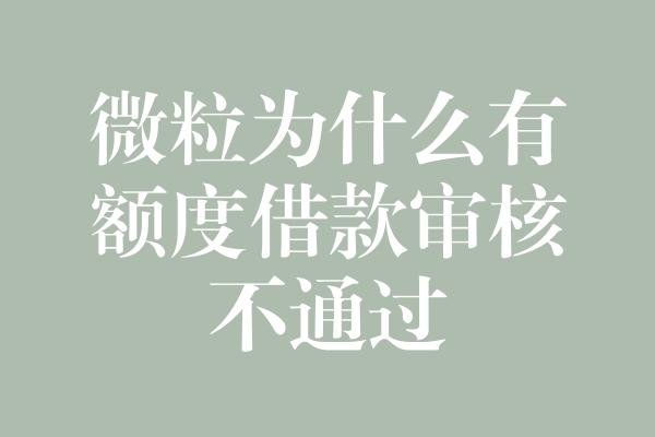 微粒为什么有额度借款审核不通过