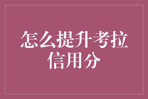 怎么提升考拉信用分