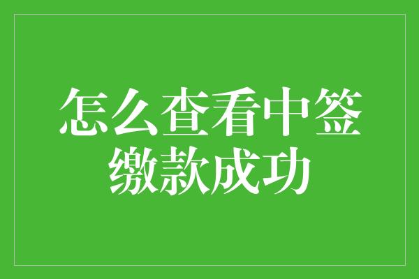 怎么查看中签缴款成功