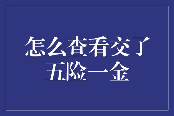 怎么查看交了五险一金