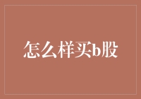 购买B股：步骤、策略与风险提示