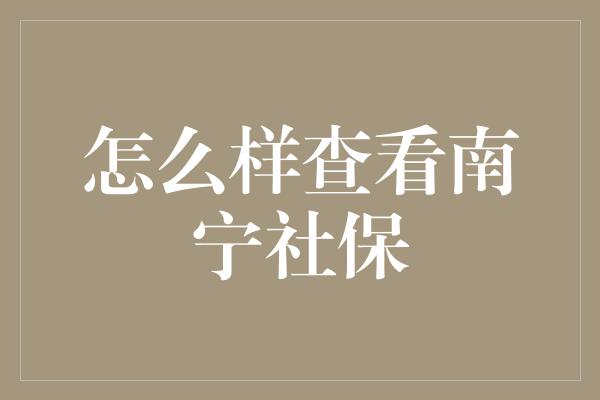 怎么样查看南宁社保