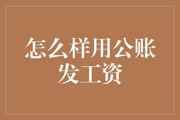 怎么样用公账发工资