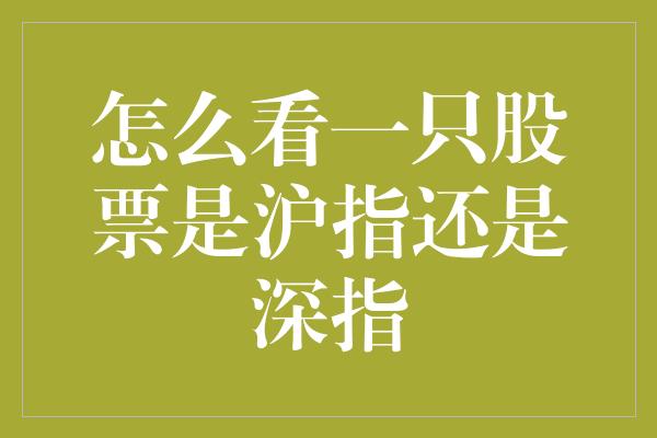 怎么看一只股票是沪指还是深指