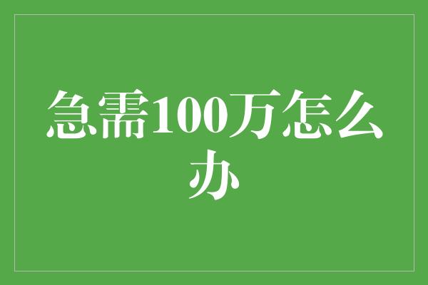 急需100万怎么办