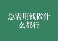 紧急资金筹措策略：应对急需用钱的多项选择方案