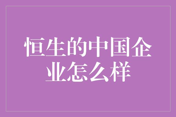 恒生的中国企业怎么样