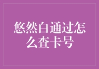 如何通过悠然白查卡号：一场寻找身份的侦探之旅