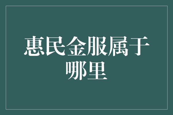 惠民金服属于哪里