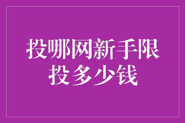 投哪网新手限投多少钱