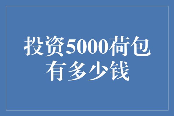 投资5000荷包有多少钱