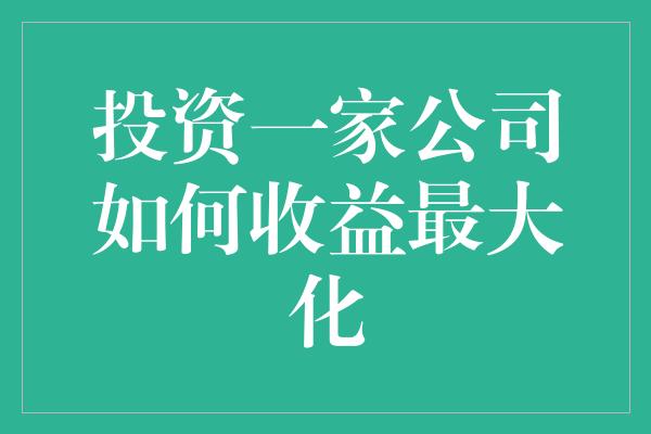 投资一家公司如何收益最大化