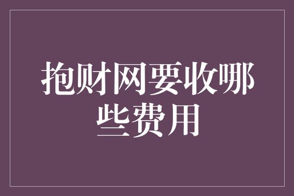 抱财网要收哪些费用