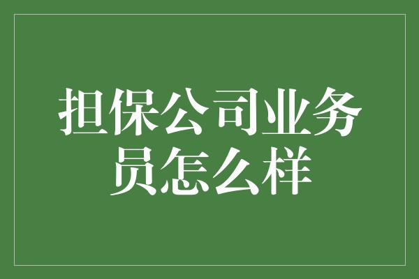 担保公司业务员怎么样