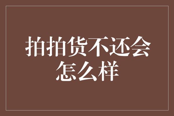 拍拍货不还会怎么样