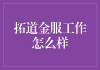 拓道金服工作体验：金融科技行业的深度探索