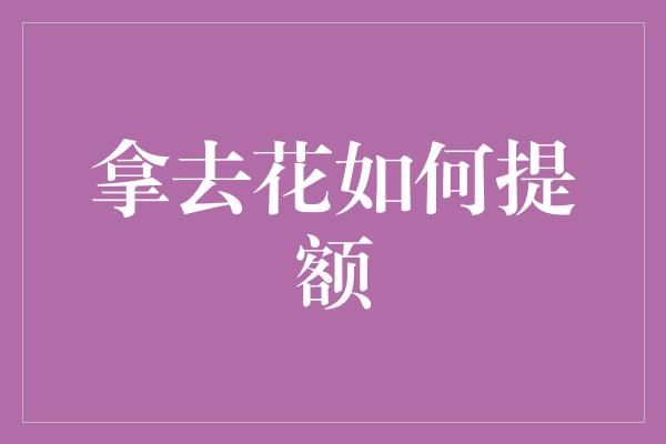 拿去花如何提额