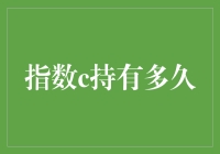 指数c持有策略：构建长期投资组合的灵活性与稳健性