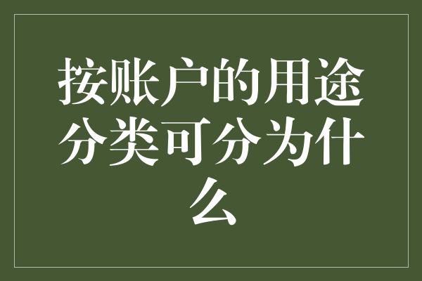 按账户的用途分类可分为什么