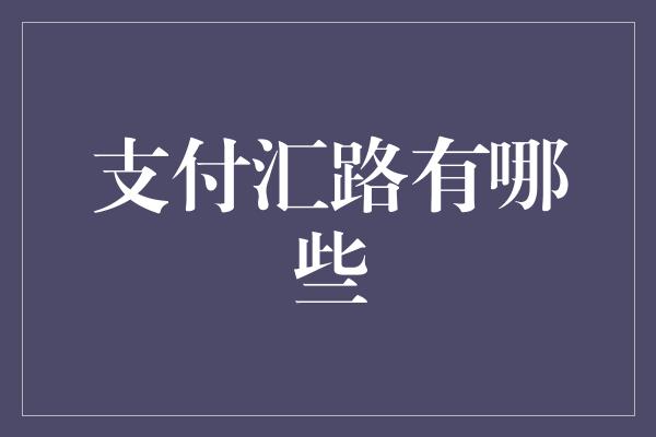 支付汇路有哪些