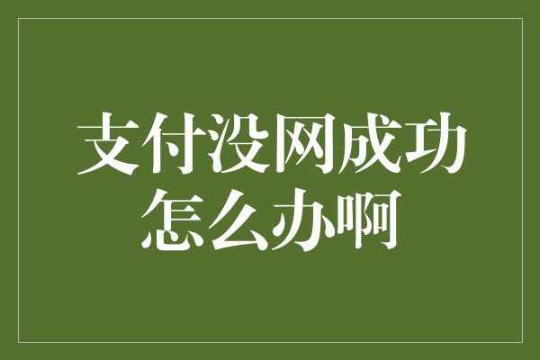 支付没网成功怎么办啊