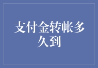 支付金转账多久到账：跨行转账与实时支付的差异性分析