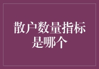 我国股市散户投资者数量的衡量指标体系构建研究