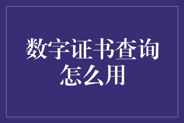 数字证书查询怎么用