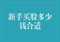 新手投资者：股票投资入门指南——适宜的投资金额解析