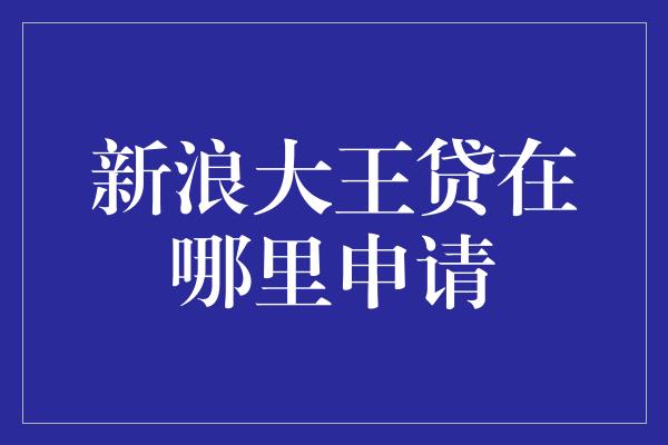 新浪大王贷在哪里申请