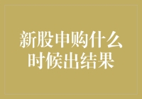 【新股申购啥时候出结果？急急急！】