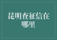 昆明市征信查询指南：信用查询不再难