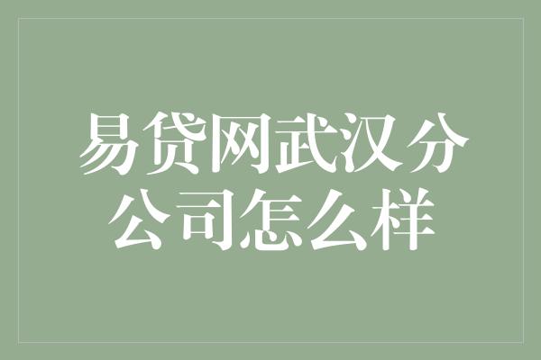 易贷网武汉分公司怎么样