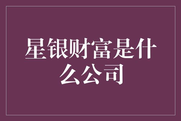 星银财富是什么公司