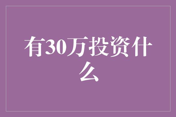 有30万投资什么