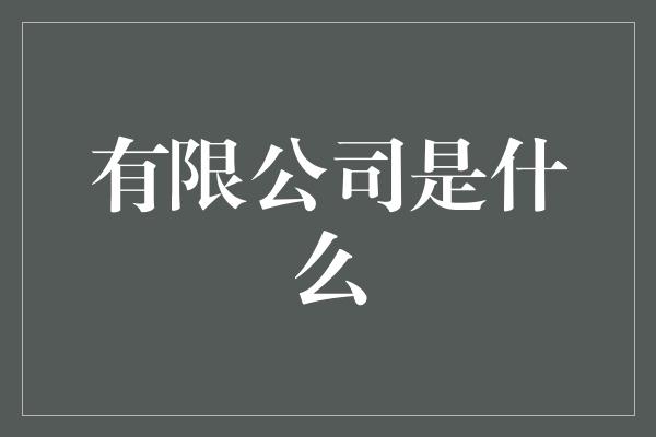 有限公司是什么