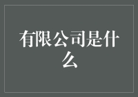 有限公司的奇幻漂流记：从公司小能手到宇宙霸主