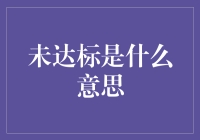 未达标：从定义到意义的深入解析