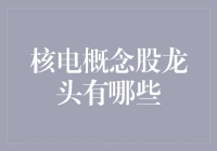 核电概念股的龙头是谁？揭秘新能源投资新机遇！