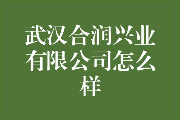 武汉合润兴业有限公司怎么样