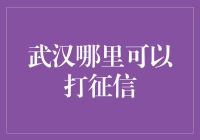 武汉市民征信查询指南：便捷渠道与专业服务解析