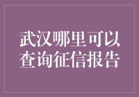 武汉地区征信报告查询指南：全面解析与实用建议