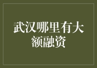 武汉大额融资渠道与策略：为企业注入强劲动力