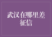 【武汉征信差差差，借钱问路靠百度】：如何在征信差的情况下，创造出一片新天地？