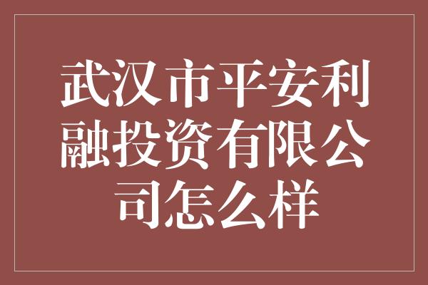 武汉市平安利融投资有限公司怎么样